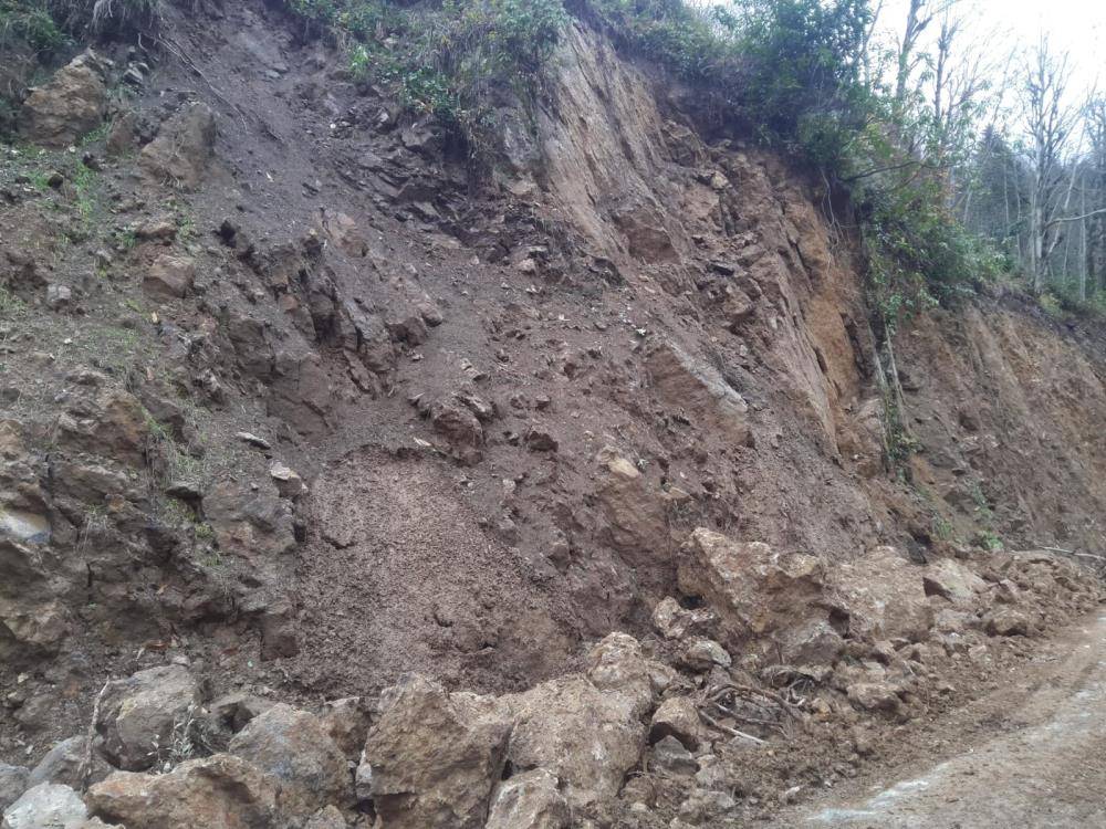 Rize'de sağanak sel ve heyelana yol açtı, yollar kapandı 8